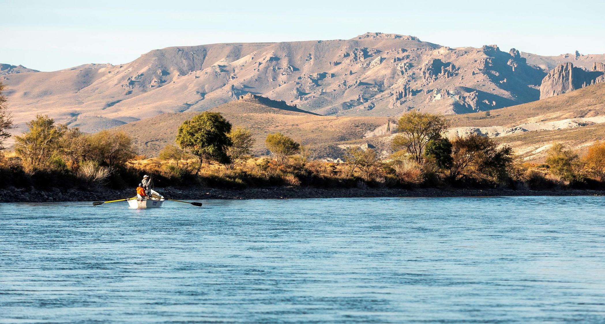 Wild rainbow trout fly fishing, Bariloche fishing guide